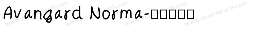 Avangard Norma字体转换